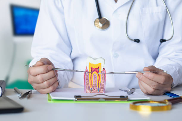 Best Dentist Open on Weekends  in Hemlock, MI